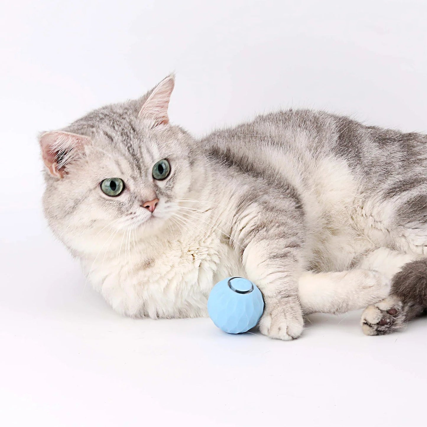 Pelotita Gatitos Miuu