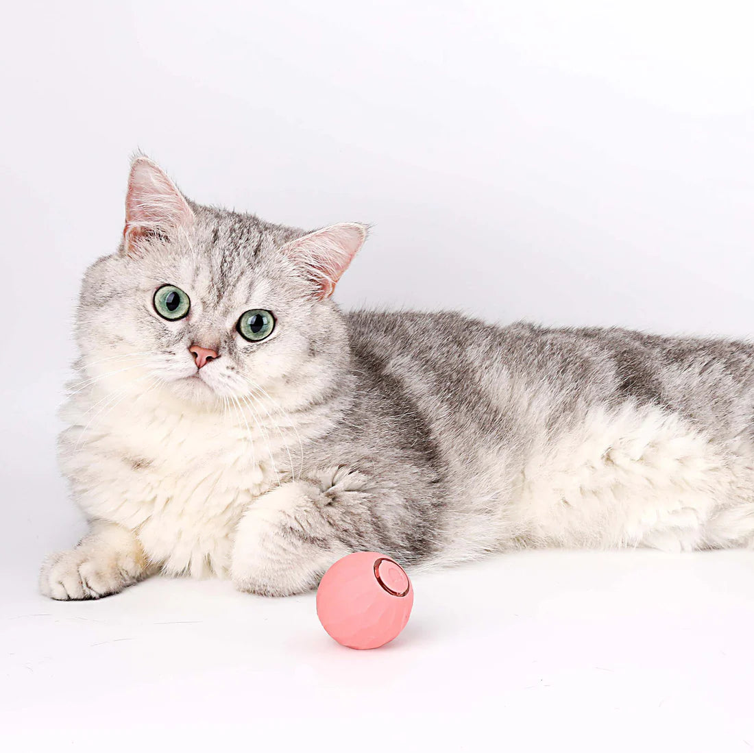 Pelotita Gatitos Miuu