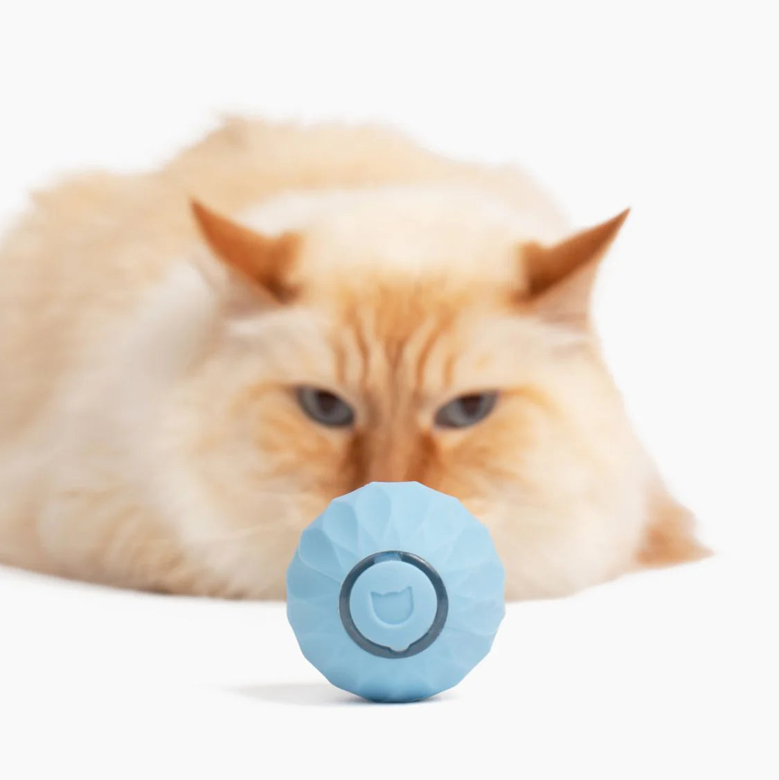 Pelotita Gatitos Miuu