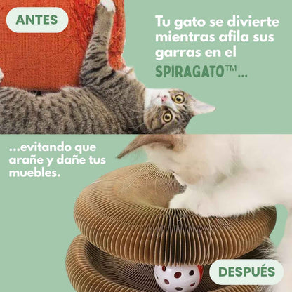 Juguete Interactivo para Gatos + PELOTA