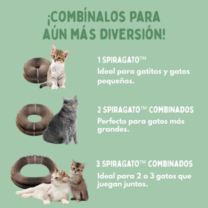 Juguete Interactivo para Gatos + PELOTA